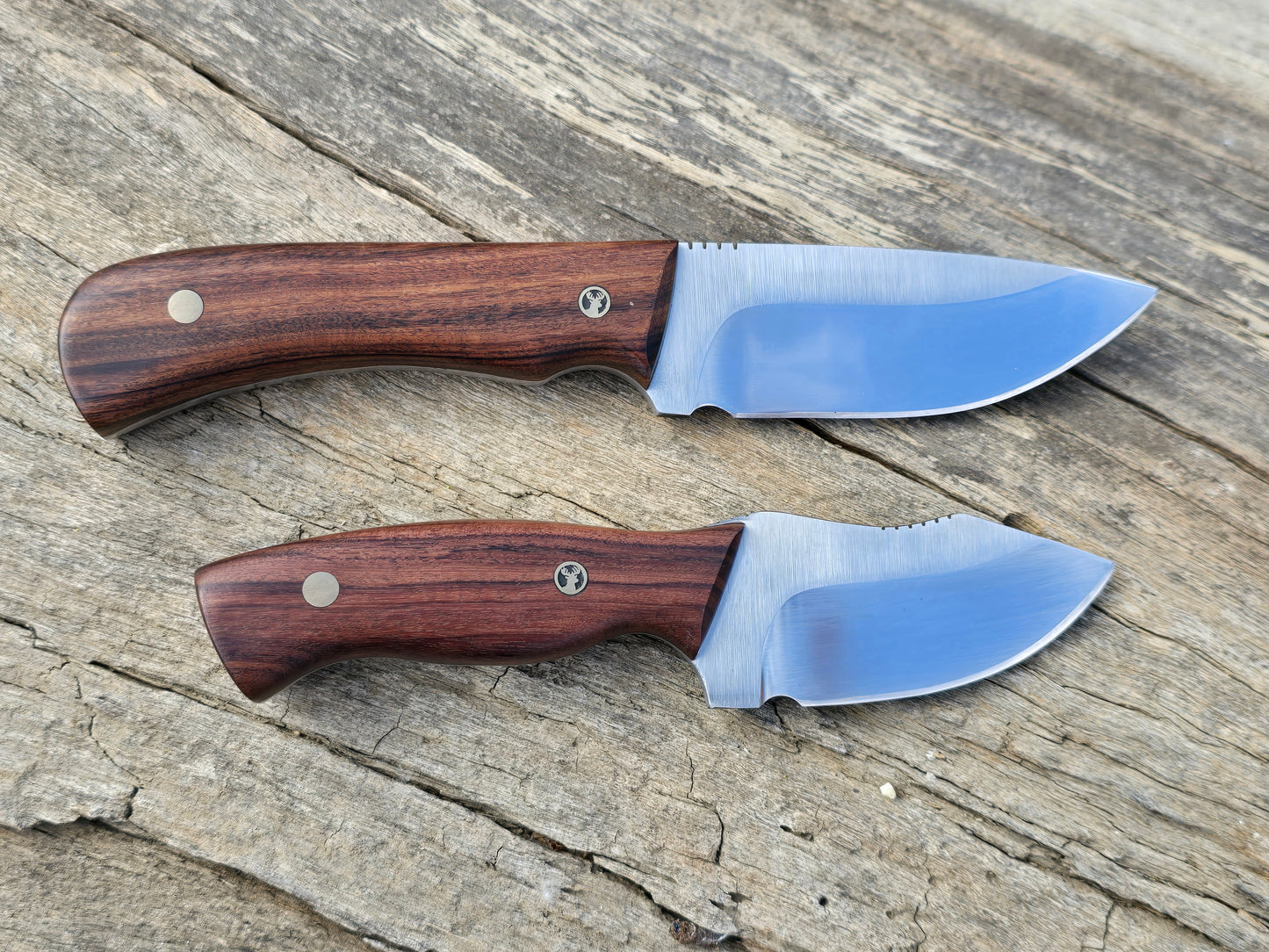 Hunter/Skinner Knife Set